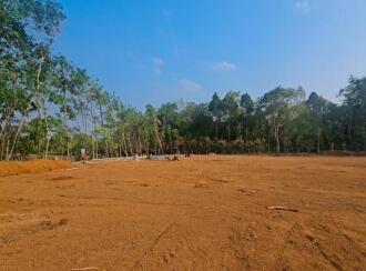Residential House Villa for Sale in Ernakulam, Nedumbassery, Nedumbassery, Close to Suvarnodyanam Biological Park