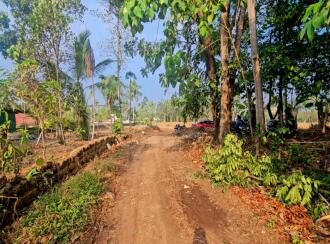 Residential House Villa for Sale in Ernakulam, Nedumbassery, Nedumbassery, Close to Suvarnodyanam Biological Park