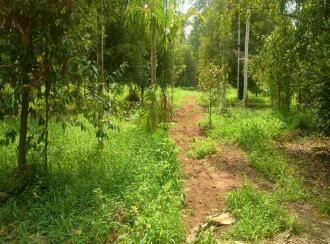 Residential Land for Sale in Thrissur, Chalakudy, Adichili
