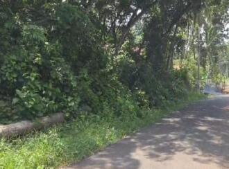 Commercial Land for SalePathanamthitta, Pathanamthitta, Chandanapally