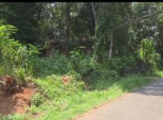 Commercial Land for Sale in Pathanamthitta, Pathanamthitta, Chandanapally, Saint George's Mount High School