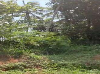 Commercial Land for Sale in Pathanamthitta, Pathanamthitta, Chandanapally, Saint George's Mount High School