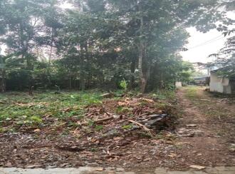 Residential Land for Sale in Kottayam, Kottayam town, Chavittuvari, Nattassery