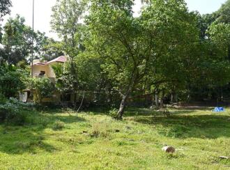 Residential Land for Sale in Alleppey, Chengannur, Kallissery, Othera Thaimaravukara road