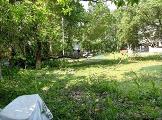 Residential Land for Sale in Alleppey, Chengannur, Kallissery, Othera Thaimaravukara road