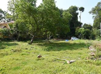 Residential Land for Sale in Alleppey, Chengannur, Kallissery, Othera Thaimaravukara road