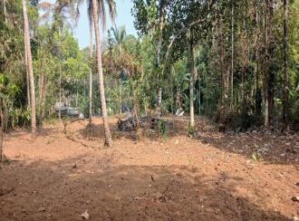 Residential Land for Sale in Thrissur, Mala, Poyya, Karthikakavu temple poyya