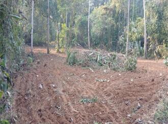 Residential Land for Sale in Thrissur, Mala, Poyya, Karthikakavu temple poyya