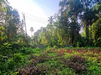 Residential Land for Sale in Pathanamthitta, Kozhencherry, Maramon, Near TK Road Manamon