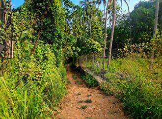 Residential Land for Sale in Pathanamthitta, Kozhencherry, Maramon, Near TK Road Manamon
