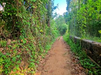 Residential Land for Sale in Pathanamthitta, Kozhencherry, Maramon, Near TK Road Manamon