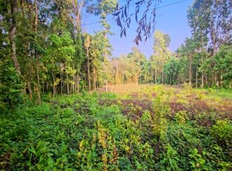 Residential Land for Sale in Pathanamthitta, Kozhencherry, Maramon, Near TK Road Manamon
