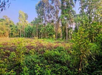 Residential Land for Sale in Pathanamthitta, Kozhencherry, Maramon, Near TK Road Manamon
