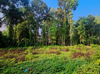Residential Land for Sale in Pathanamthitta, Kozhencherry, Maramon, Near TK Road Manamon