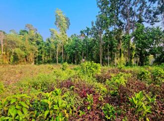 Residential Land for Sale in Pathanamthitta, Kozhencherry, Maramon, Near TK Road Manamon