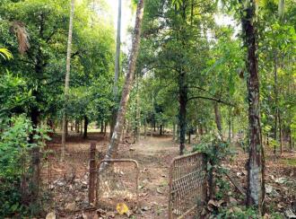 Residential Land for Sale in Thrissur, Amballoor, Kallur, Ambalur - Kallur road