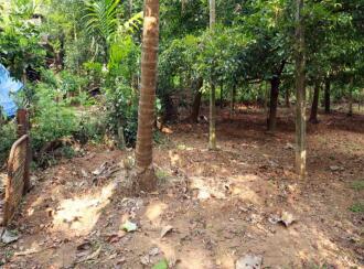Residential Land for Sale in Thrissur, Amballoor, Kallur, Ambalur - Kallur road