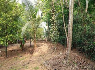 Residential Land for Sale in Thrissur, Amballoor, Kallur, Ambalur - Kallur road