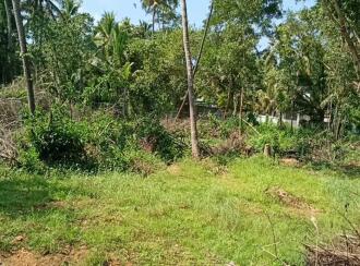 Residential Land for Sale in Alleppey, Cherthala, Kokkothamangalam, Near Kattachira Bridge
