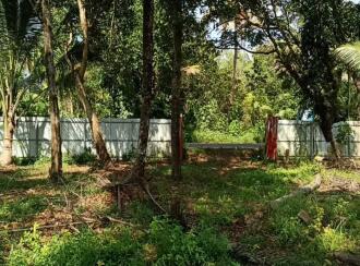 Residential Land for Sale in Alleppey, Cherthala, Kokkothamangalam, Near Kattachira Bridge