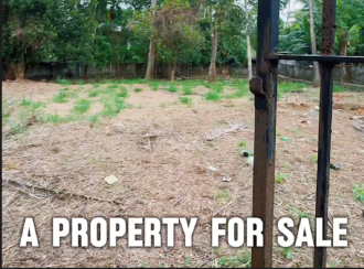 Residential Land for Sale in Thrissur, Kuttanellur, Kuttanellur, Mannuthy -Oorakam Road