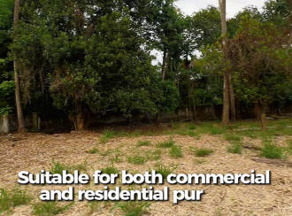Residential Land for Sale in Thrissur, Kuttanellur, Kuttanellur, Mannuthy -Oorakam Road