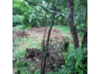 Residential Land for Sale in Idukki, Kattappana, Kattapana, Idukki kavala, Kallukunnu