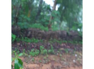 Residential Land for Sale in Idukki, Kattappana, Kattapana, Idukki kavala, Kallukunnu