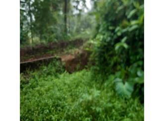 Residential Land for Sale in Idukki, Kattappana, Kattapana, Idukki kavala, Kallukunnu