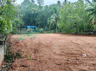 Residential Land for Sale in Ernakulam, Perumbavoor, Rayamangalam, Iringole south