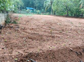Residential Land for Sale in Ernakulam, Perumbavoor, Rayamangalam, Iringole south