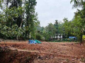 Residential Land for Sale in Ernakulam, Perumbavoor, Rayamangalam, Iringole south