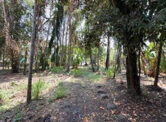 Commercial Land for Sale in Thrissur, Kodungallur, Kottapuram, Kottapuram bridge