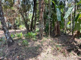 Commercial Land for Sale in Thrissur, Kodungallur, Kottapuram, Kottapuram bridge