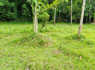 Agricultural Land for Sale in Ernakulam, Perumbavoor, Rayamangalam, St Gregorious Jacobite Church