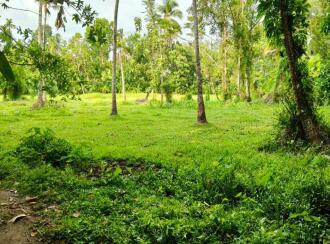 Agricultural Land for Sale in Ernakulam, Perumbavoor, Rayamangalam, St Gregorious Jacobite Church