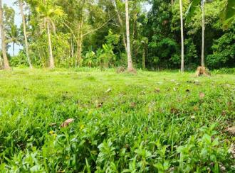 Agricultural Land for Sale in Ernakulam, Perumbavoor, Rayamangalam, St Gregorious Jacobite Church