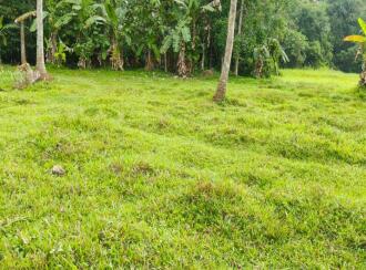 Agricultural Land for Sale in Ernakulam, Perumbavoor, Rayamangalam, St Gregorious Jacobite Church