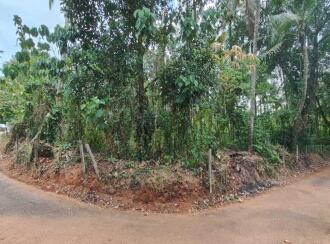 Residential Land for Sale in Thrissur, Cherpu, Perumbillissery, Chevvoor main Road
