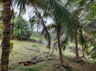 Residential Land for Sale in Ernakulam, Mulanthuruthy, Mulanthuruthy, MGM NAGAR Mulanthuruthy Perumbilly Road