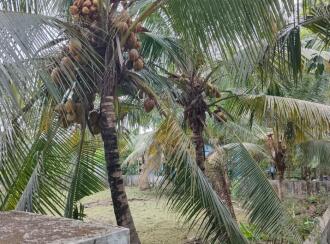 Residential Land for Sale in Ernakulam, Mulanthuruthy, Mulanthuruthy, MGM NAGAR Mulanthuruthy Perumbilly Road