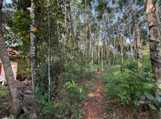 വാസയോഗ്യമായ ഭൂമി വില്പനയ്ക്ക് Alleppey, Chengannur, Mulakuzha, Kotta
