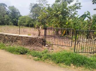 Residential Land for Sale in Kottayam, Ettumanoor, Kattachira, Thekkanattu Pati Road