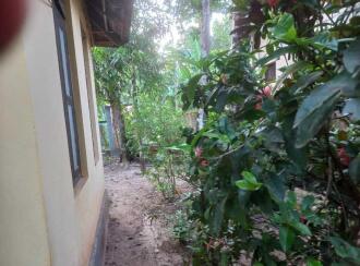 Residential Land for Sale in Alleppey, Alappuzha, Thathampally, Vadikadu