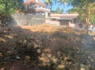 Residential Land for Sale in Trivandrum, Balaramapuram, Balaramapuram, Aralumoodu market road