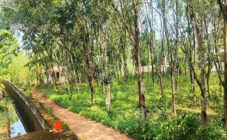 Residential Land for Sale in Kottayam, Ettumanoor, Kanakkary, Nambiyarkulam