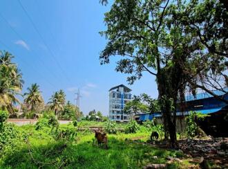 Residential Land for Sale in Ernakulam, Thoppumpady, Thoppumpady, Behind Ann Motors, Nr The Racquet Club