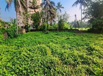 Residential Land for Sale in Ernakulam, Aluva, U C College, U C college