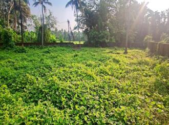 Residential Land for Sale in Ernakulam, Aluva, U C College, U C college