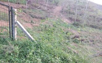 Residential Land for Sale in Trivandrum, Venjaramoodu, Venjaramoodu, Perumala, Chakkakattil